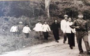 Hình nhỏ