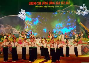 Hình nhỏ