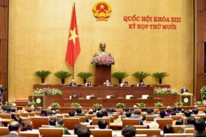 Hình nhỏ