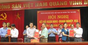 Hình nhỏ