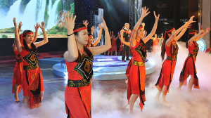 Hình nhỏ