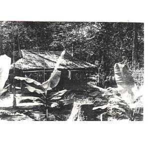 Hình nhỏ