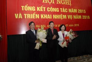 Hình nhỏ