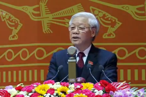Hình nhỏ