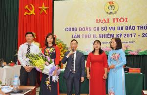 Hình nhỏ