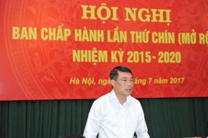 Hình nhỏ