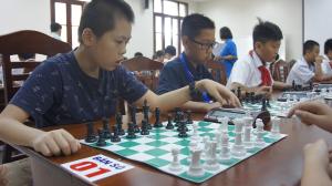 Hình nhỏ