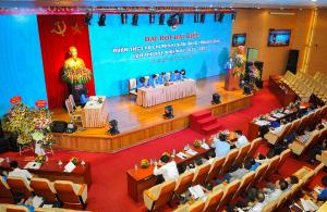 Hình nhỏ
