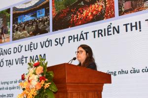 Hình nhỏ