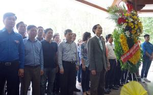 Hình nhỏ