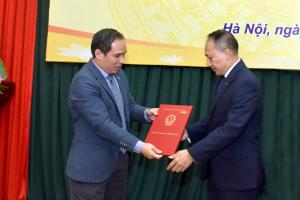 Hình nhỏ
