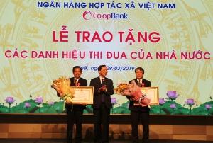 Hình nhỏ