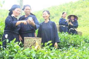 Hình nhỏ