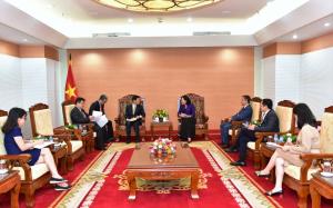 Hình nhỏ