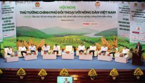 Hình nhỏ