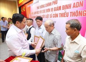 Hình nhỏ