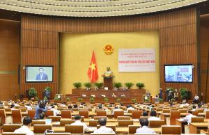 Hình nhỏ