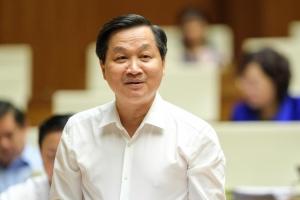 Hình nhỏ