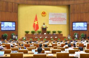 Hình nhỏ