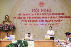 Hình nhỏ