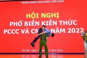 Hình nhỏ
