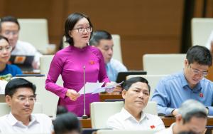 Hình nhỏ