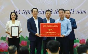 Hình nhỏ