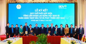 Hình nhỏ