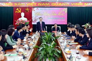 Hình nhỏ