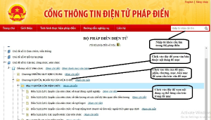 Hình nhỏ
