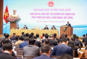 Hình nhỏ