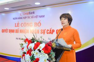 Hình nhỏ