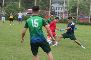 Hình nhỏ