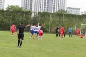 Hình nhỏ