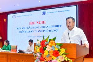 Hình nhỏ
