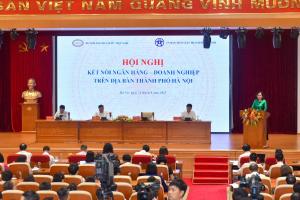 Hình nhỏ