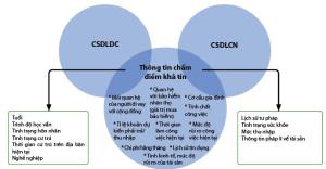 Hình nhỏ