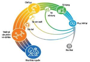 Hình nhỏ