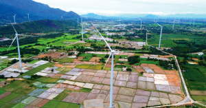 Hình nhỏ