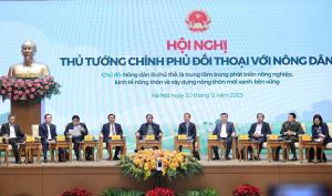 Hình nhỏ
