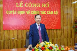 Hình nhỏ
