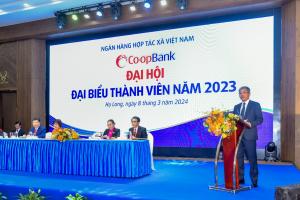 Hình nhỏ