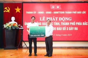 Hình nhỏ