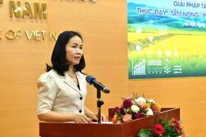 Hình nhỏ