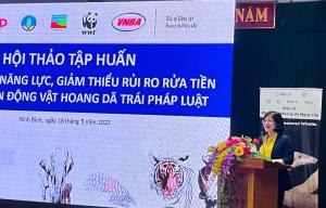 Hình nhỏ