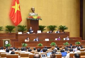 Hình nhỏ