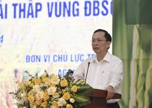 Hình nhỏ