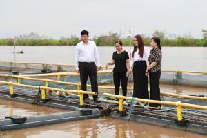 Hình nhỏ