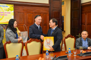Hình nhỏ