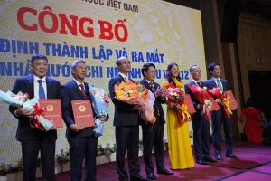 Hình nhỏ